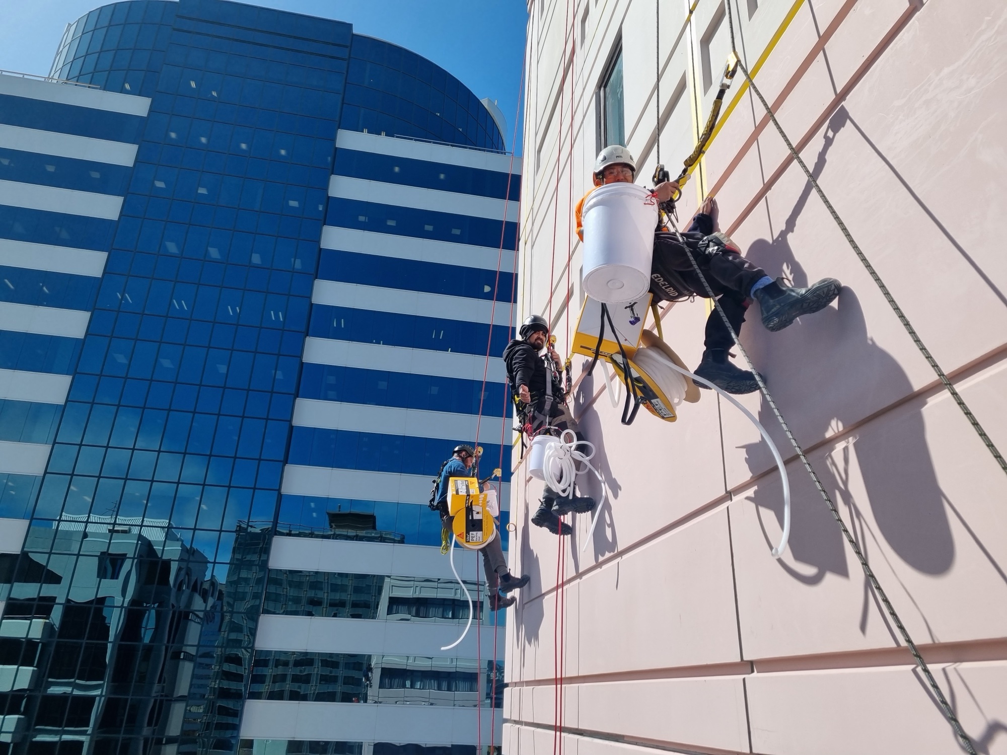 Height Access — rope access technicians on a Wellington facade