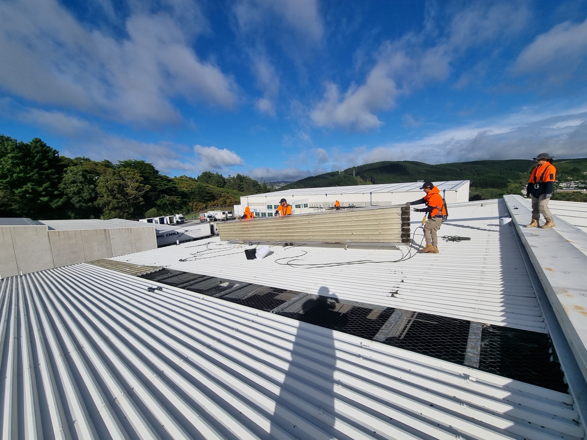 Orbit House Wellington roof and gutter maintenance