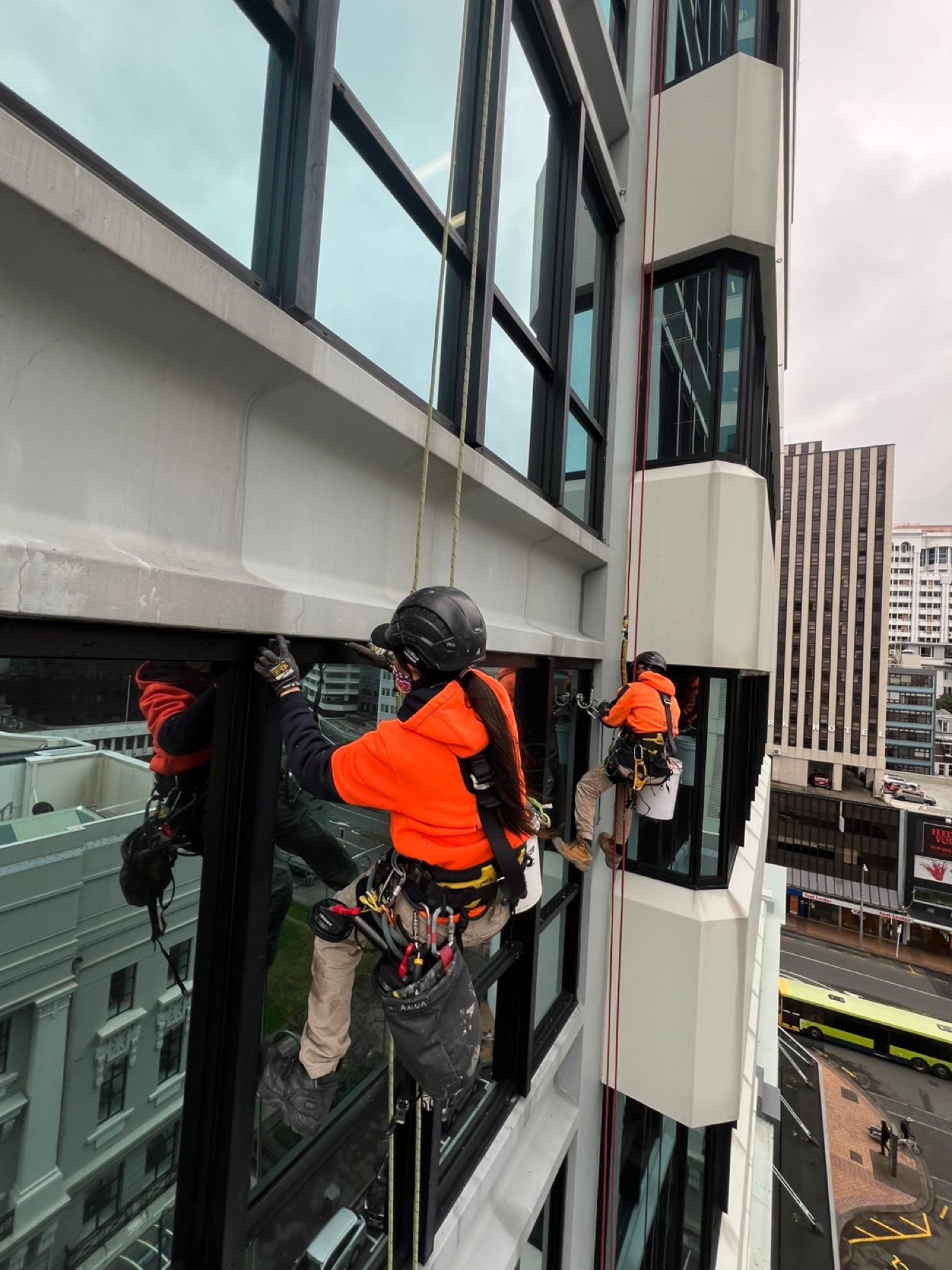 Highrise rope access technicians abseiling a Wellington tower